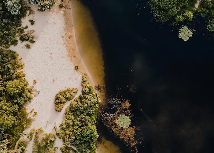 Casa With Free Parking And Garden * Zandvoort